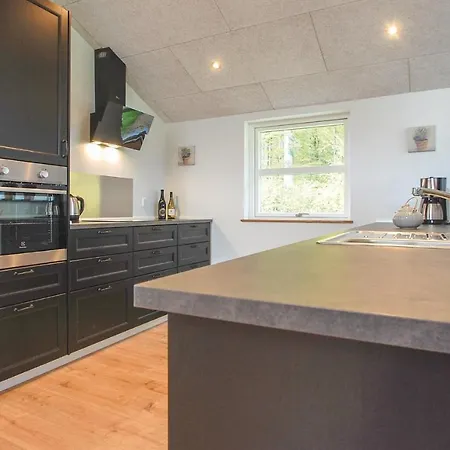 Four-bedroom In Haderslev 度假居 哈泽斯莱乌